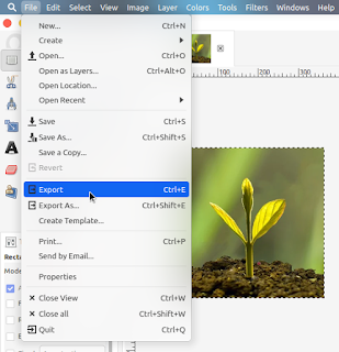 How to Crop an Image With GIMP - Fourth How to Crop an Image With GIMP - Fourth