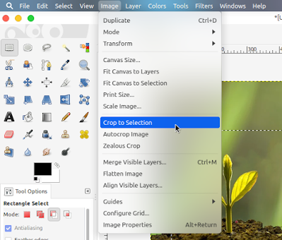 How to Crop an Image With GIMP - Third How to Crop an Image With GIMP - Third