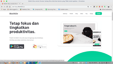 How to Block Website URLs on Android and PC