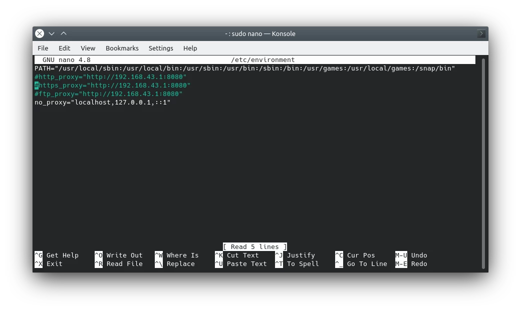 Commenting Out Proxy Settings File