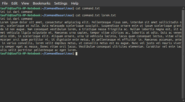 Basic Commands on Linux You Should Know